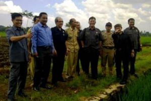 Pansus I DPRD Kuningan saat meninjau lahan sawah.